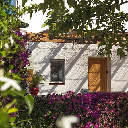 Casa vacanze Mas Mido