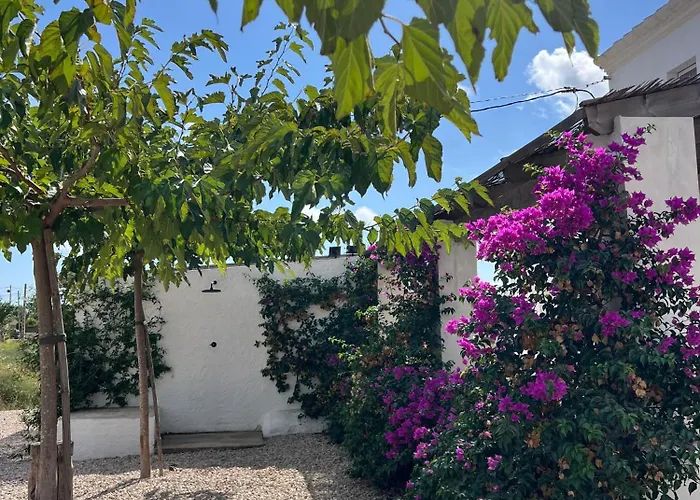 Mas Mido Sant Jaume d'Enveja